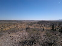 thumb_05122010189.jpg