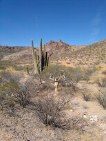 thumb_05122010191.jpg