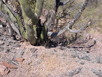 thumb_05122010192.jpg