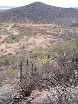 thumb_05122010194.jpg