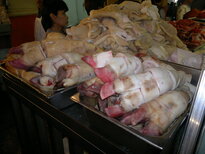 thumb_10122010215.jpg