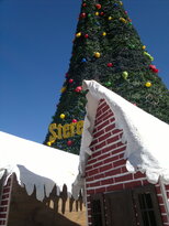thumb_10122010219.jpg