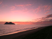 thumb_17122010285_1.jpg