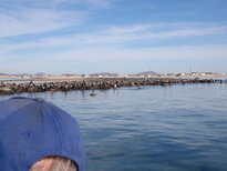 thumb_19122010307.jpg