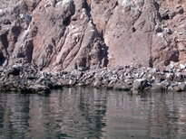 thumb_19122010309.jpg