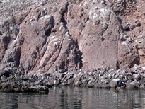 thumb_19122010310.jpg
