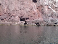 thumb_19122010311.jpg