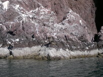 thumb_19122010312.jpg