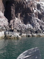thumb_19122010313.jpg