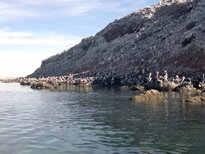 thumb_19122010315.jpg