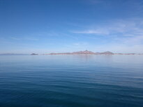 thumb_19122010316.jpg
