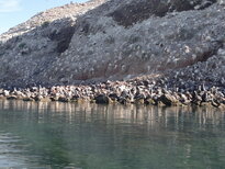 thumb_19122010318.jpg