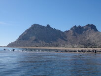 thumb_19122010321.jpg