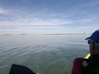 thumb_19122010322.jpg