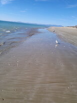 thumb_19122010324.jpg