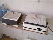 thumb_19122010331.jpg