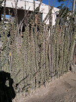 thumb_20122010334.jpg