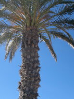 thumb_20122010335.jpg