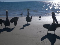 thumb_20122010336.jpg