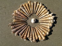 thumb_20122010337.jpg