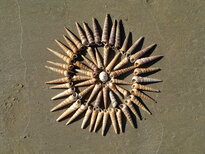 thumb_20122010338.jpg