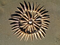 thumb_20122010339.jpg
