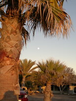 thumb_20122010345.jpg