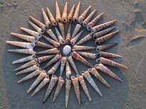 thumb_20122010346.jpg