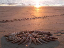 thumb_20122010347.jpg