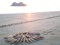 thumb_20122010350.jpg