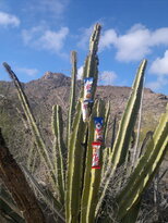 thumb_22122010352.jpg
