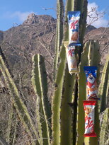 thumb_22122010353.jpg