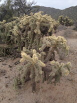 thumb_22122010355.jpg