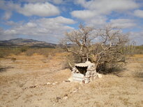thumb_22122010361.jpg