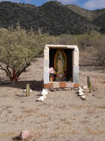 thumb_22122010362.jpg