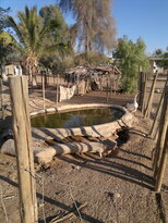 thumb_23122010374.jpg