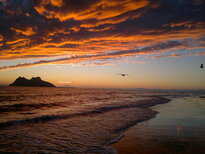 thumb_23122010385.jpg