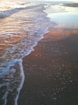thumb_23122010387.jpg