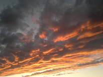 thumb_23122010388.jpg
