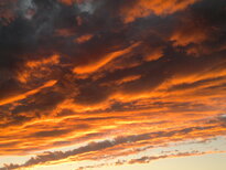 thumb_23122010389.jpg