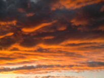 thumb_23122010390.jpg