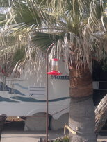 thumb_27122010412.jpg