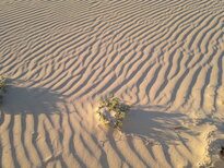 thumb_28122010416.jpg