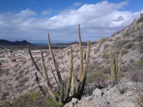 thumb_31122010435.jpg