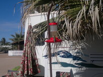 thumb_02012011446.jpg