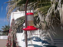 thumb_02012011447.jpg