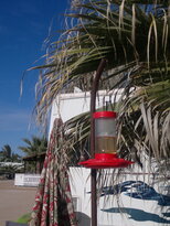 thumb_02012011448.jpg