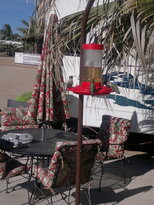 thumb_02012011449.jpg