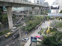 thumb_11012011502.jpg