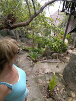 thumb_14012011534.jpg